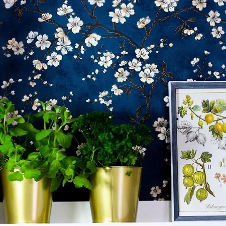 アパート Kdn ビエルスコ・ビアバ